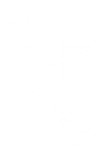 kepa_k_white kepa_logo